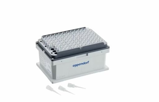 Pipet Uçları